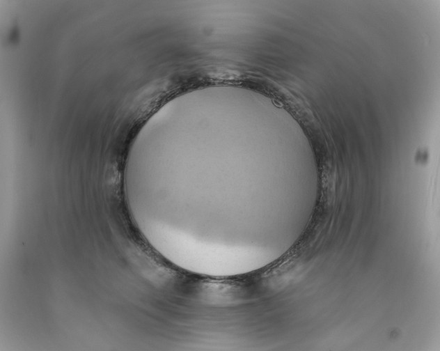 X0000091580614200709101020