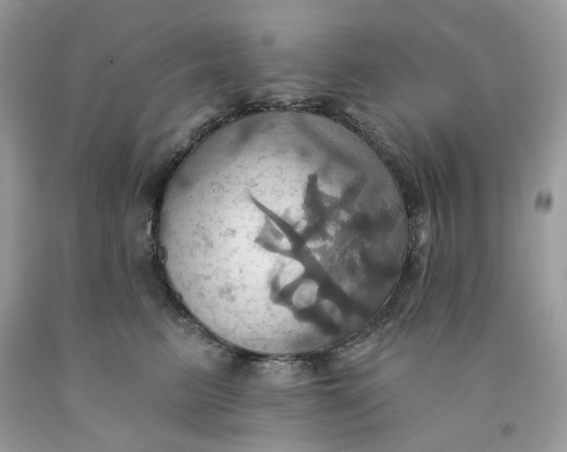 X0000091580615200709101020