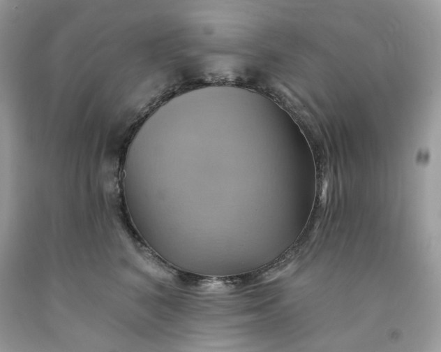 X0000091580616200709101020