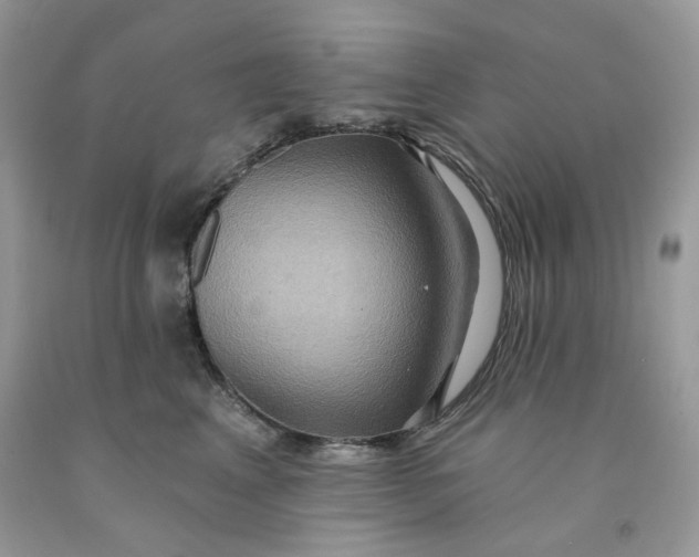 X0000091580617200709101020