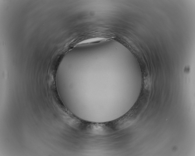 X0000091580618200709101020