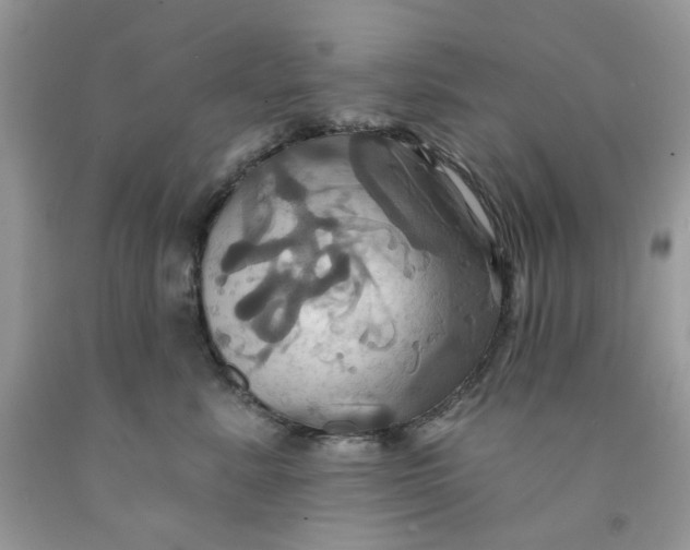 X0000091580619200709101020