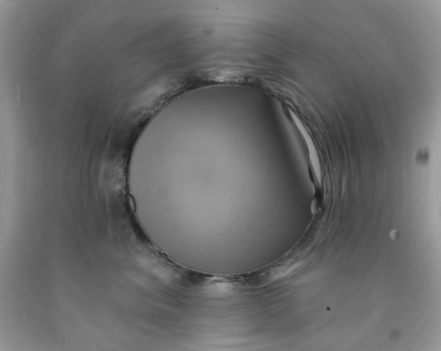 X0000091580620200709101020