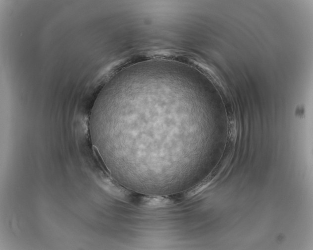 X0000091580621200709101020