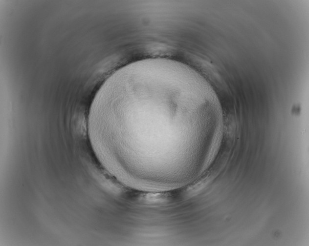 X0000091580622200709101020