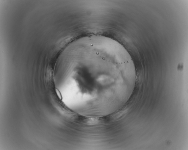 X0000091580623200709101020