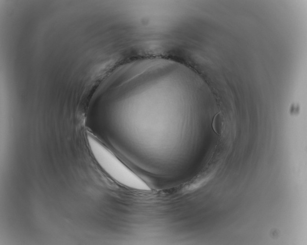 X0000091580624200709101020