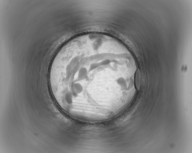 X0000091580625200709101019