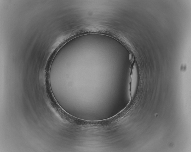 X0000091580626200709101019