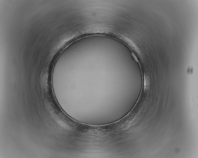 X0000091580627200709101019