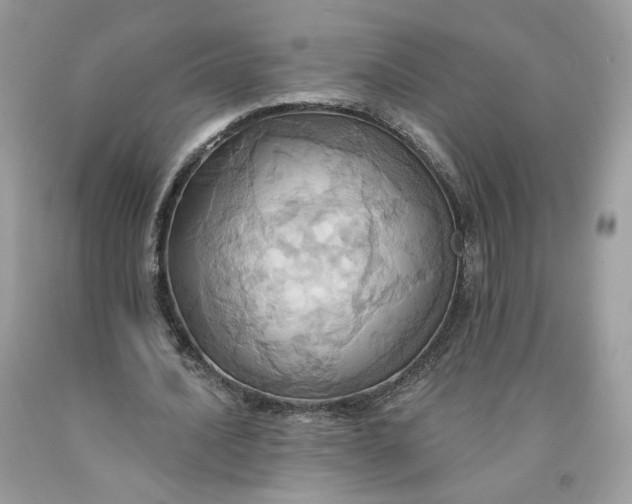 X0000091580628200709101019