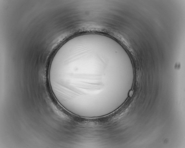 X0000091580629200709101019