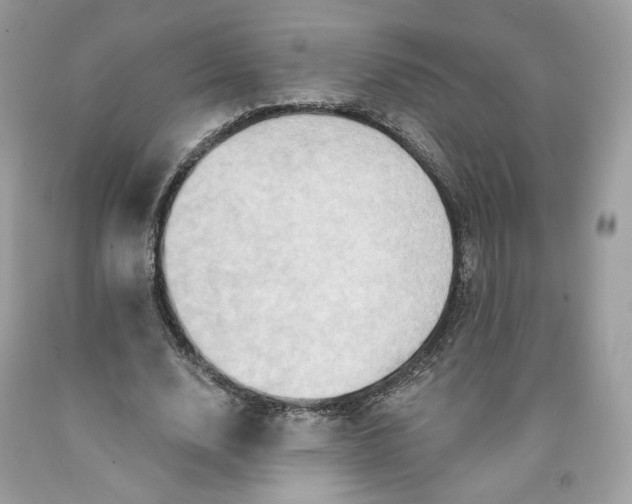 X0000091580632200709101019