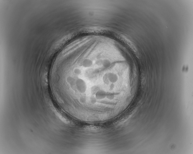 X0000091580633200709101019