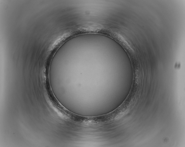 X0000091580634200709101019