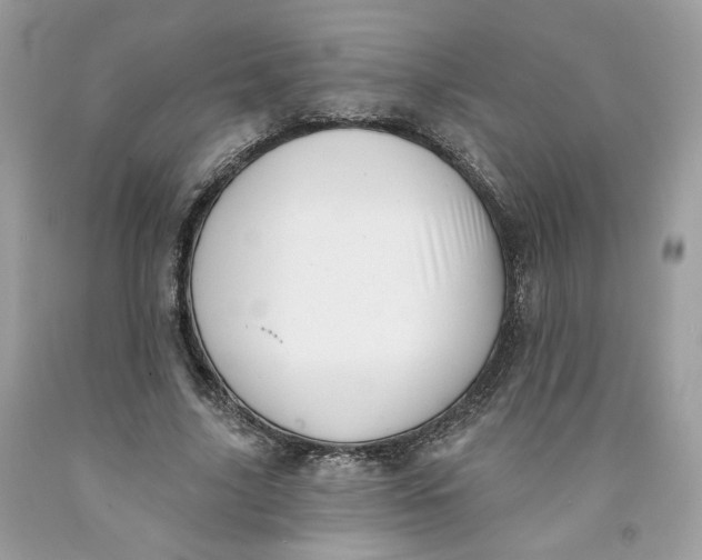 X0000091580635200709101019