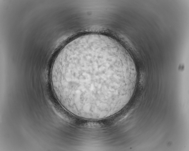 X0000091580636200709101019