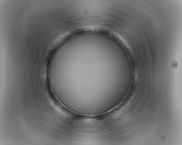 X0000091580637200709101019