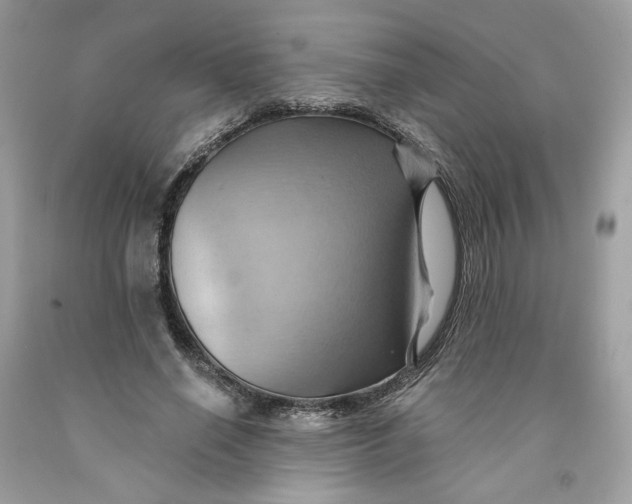 X0000091580638200709101019