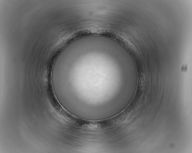 X0000091580639200709101019