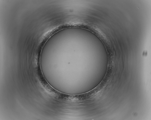 X0000091580640200709101019