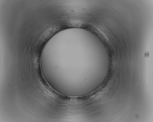 X0000091580641200709101019