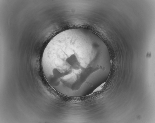 X0000091580642200709101019