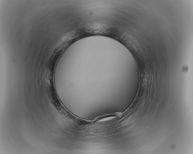 X0000091580643200709101019