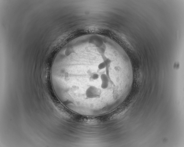 X0000091580645200709101019