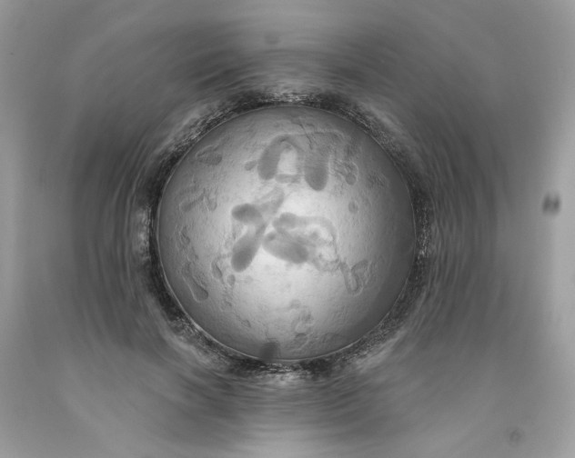 X0000091580646200709101019