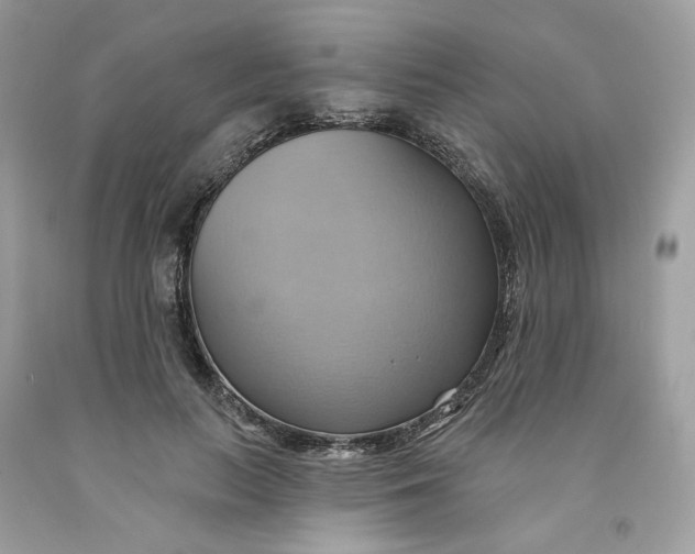 X0000091580647200709101019