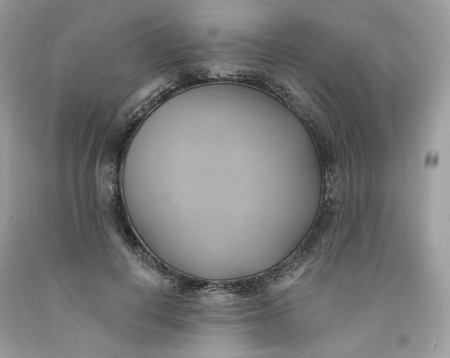 X0000091580648200709101019