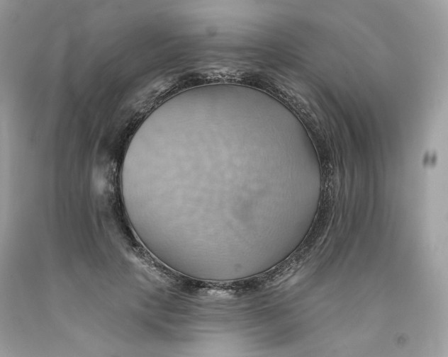 X0000091580649200709101019