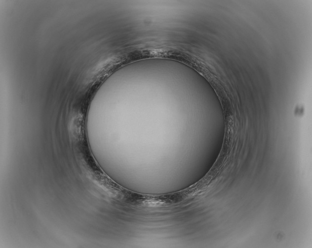 X0000091580650200709101019