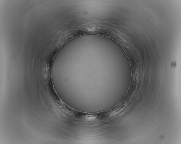 X0000091580651200709101019