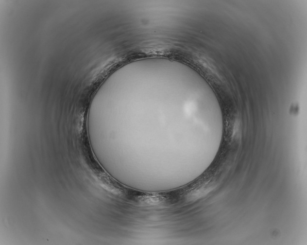 X0000091580652200709101019