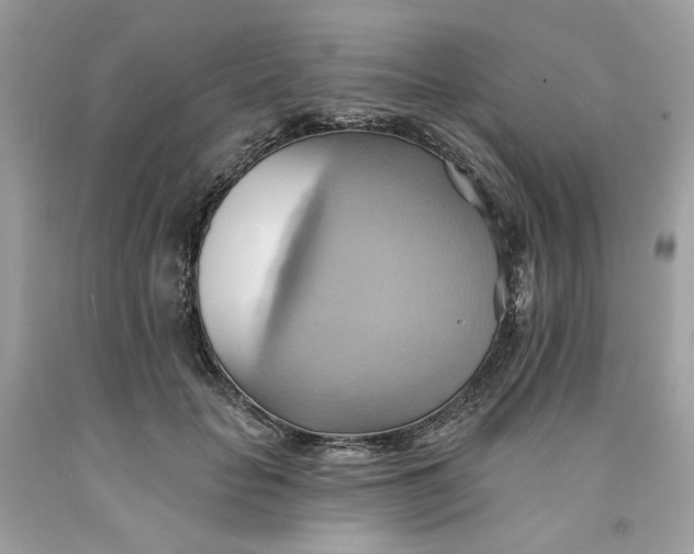 X0000091580653200709101019