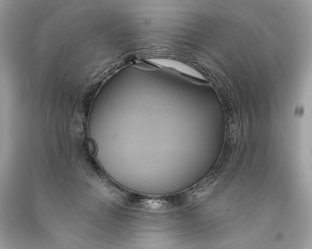 X0000091580654200709101019