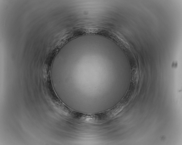 X0000091580655200709101019