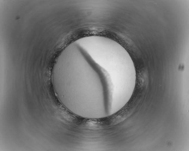 X0000091580657200709101019