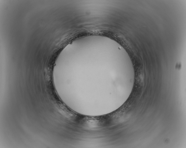 X0000091580658200709101020