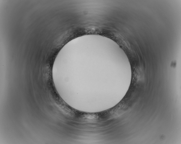 X0000091580659200709101020