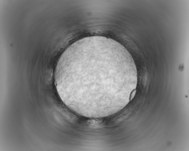 X0000091580660200709101020