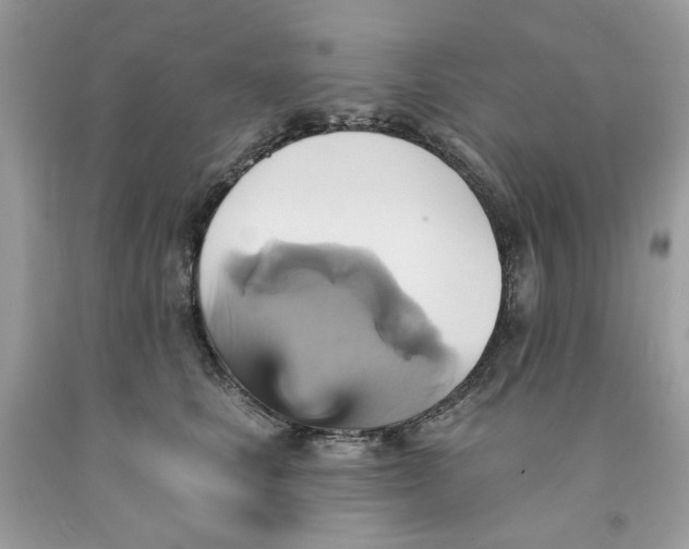 X0000091580661200709101020