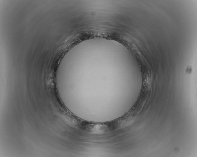 X0000091580663200709101020