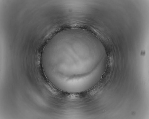 X0000091580664200709101020