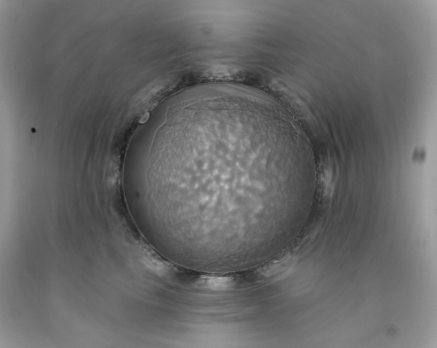 X0000091580665200709101020