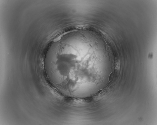 X0000091580666200709101020