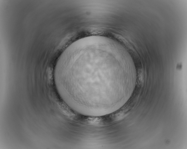 X0000091580667200709101020