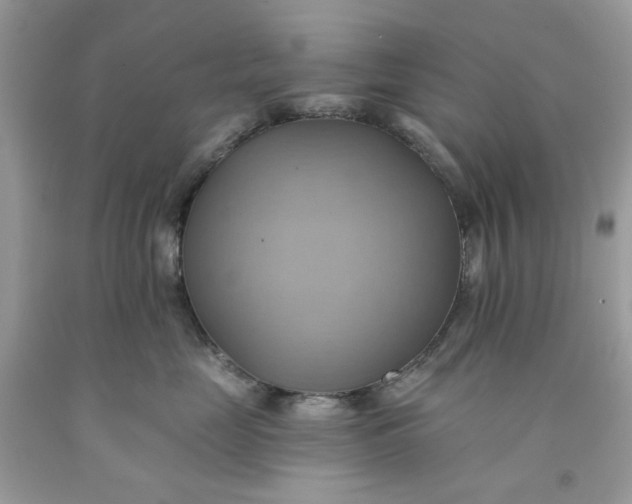 X0000091580669200709101020